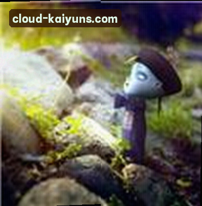 前大厂架构师 老李